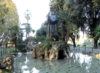 Foto galleria