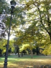 Foto galleria