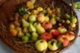 Frutta di stagione genuina Frutta di stagione genuina