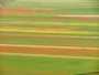 Imparare a volare in parapendio e in deltaplano è facile e sicuro Imparare a volare in parapendio e in deltaplano è facile e sicuro