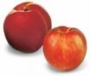 PESCHE DI FARFA PESCHE DI FARFA