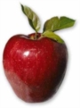 Ordina la tua confezione di Frutta e verdura casereccia.... Ordina la tua confezione di Frutta e verdura casereccia....