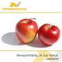 Realizzazione siti web professionali: siti già pronti, siti su misura, commercio elettronico, agenzie di viaggio, immobiliari, siti accessibili, virtual tour Realizzazione siti web professionali: siti già pronti, siti su misura, commercio elettronico, agenzie di viaggio, immobiliari, siti accessibili, virtual tour