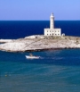 Offerta vacanza Puglia Vieste luglio 2009 Offerta vacanza Puglia Vieste luglio 2009