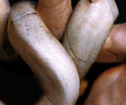 Locandina: “Laocoonte e i suoi figli” di Germano Serafini