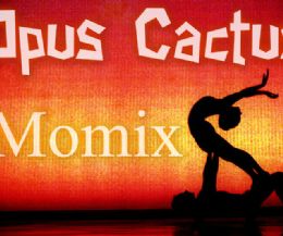 Event poster: Momix